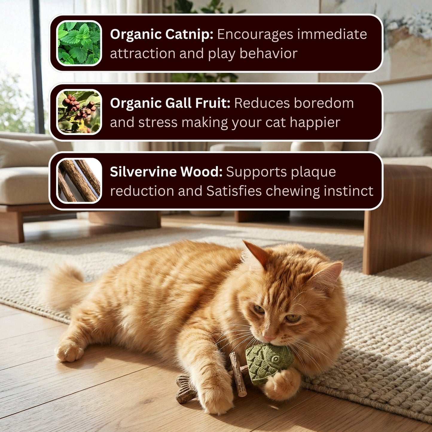 3-in-1 Natural Catnip & Silvervine Fish Chew Toy for Indoor Cats