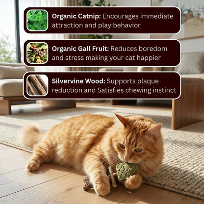 3-in-1 Natural Catnip & Silvervine Fish Chew Toy for Indoor Cats