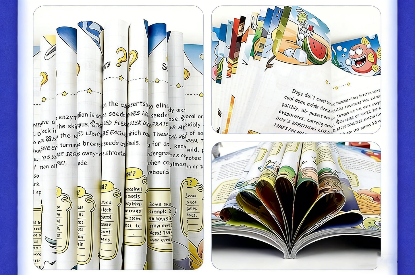 Children's encyclopedia "Why 100,000?" Extracurricular reading for primary school students