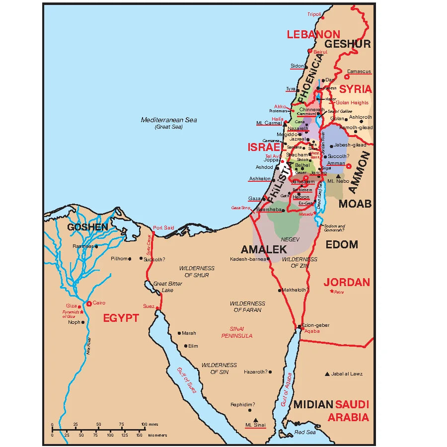 🔥Last Day70% off🔥10th Anniversary Edition Bible Charts, Maps and Time Lines