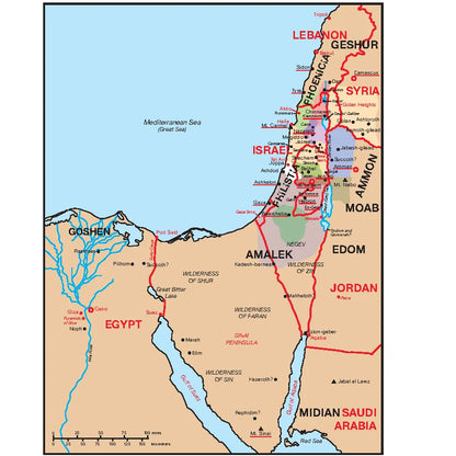 🔥Last Day70% off🔥10th Anniversary Edition Bible Charts, Maps and Time Lines
