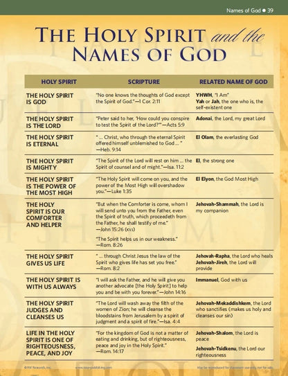🔥Last Day70% off🔥10th Anniversary Edition Bible Charts, Maps and Time Lines