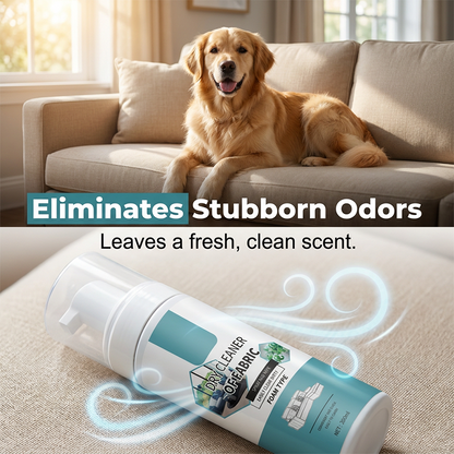 🛋️ Half-price offer! Fabric cleaning foam—removes stains, odors, and dirt. Suitable for sofas, carpets, and cars—no water needed! 💨✨